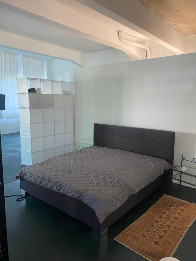 Big One Event Loft Gastro Kitchen, 200Qm, Up To 8 Beds Apartment Дрезден Екстериор снимка